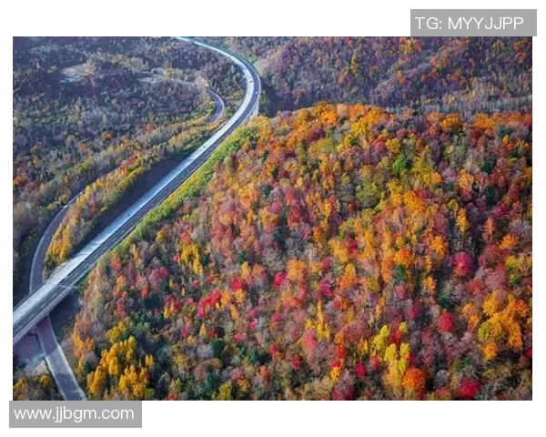 足球明星与秋天美景交融的绝美瞬间展现了运动与自然的和谐之美